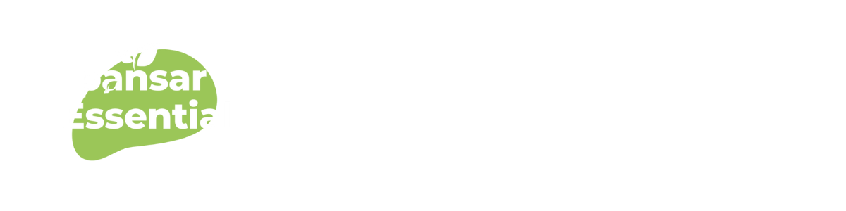 Pansar Essential Logo
